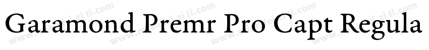 Garamond Premr Pro Capt Regular字体转换